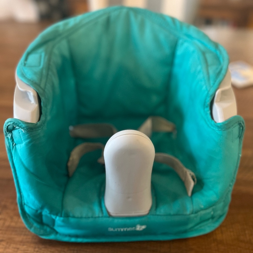 Toddler Booster Seat-Teal & Gray